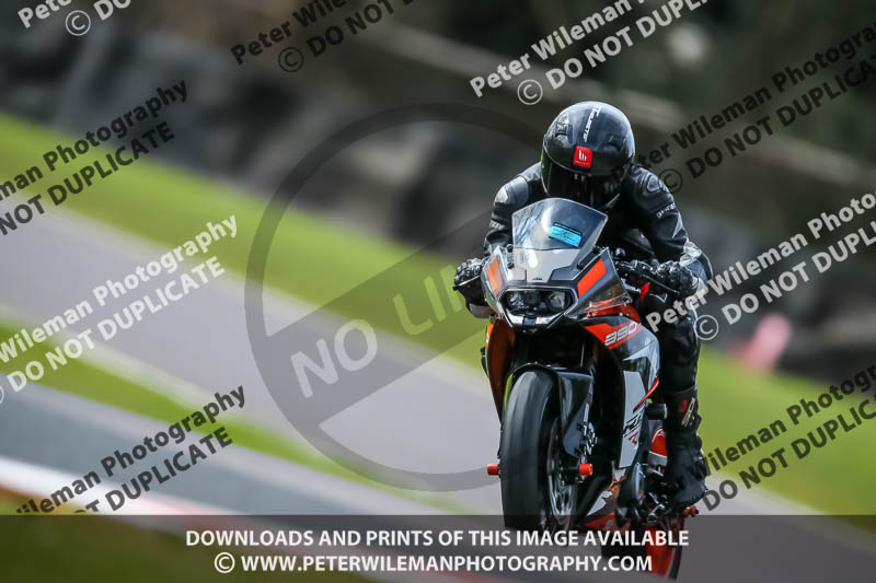 Oulton Park 21st March 2020;PJ Motorsport Photography 2020;anglesey;brands hatch;cadwell park;croft;donington park;enduro digital images;event digital images;eventdigitalimages;mallory;no limits;oulton park;peter wileman photography;racing digital images;silverstone;snetterton;trackday digital images;trackday photos;vmcc banbury run;welsh 2 day enduro
